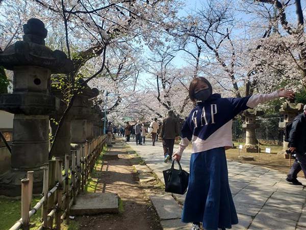 桜と福島