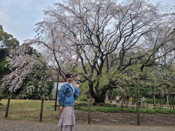 桜と