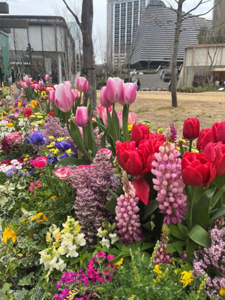 花壇