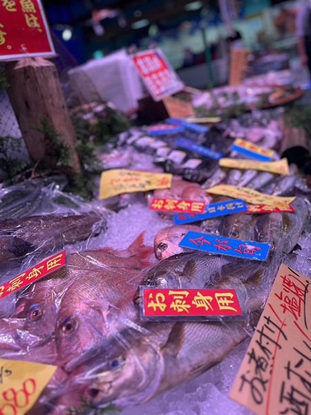 魚
