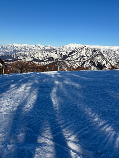 雪山の景色