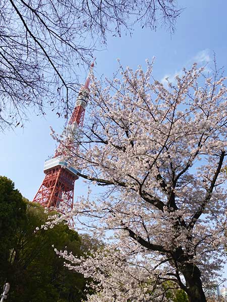 写真7