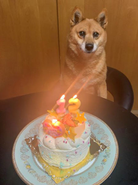 誕生日
