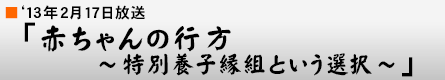 '13年2月17日「赤ちゃんの行方〜特別養子縁組という選択〜」