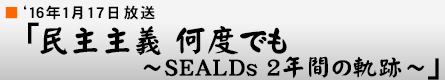 '16年1月17日「民主主義何度でも 〜SEALDs 2年間の軌跡〜」