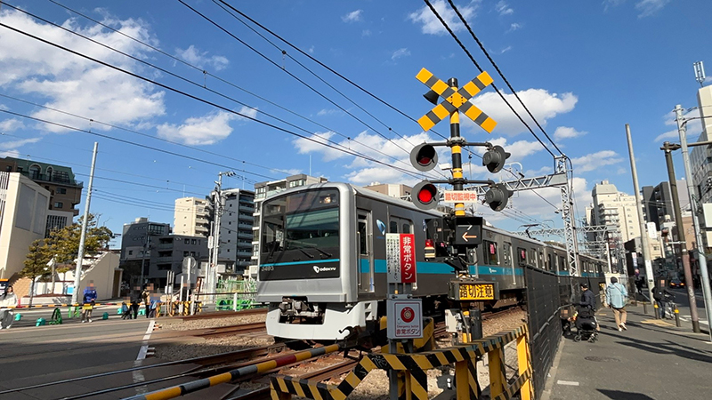 ◾️小田急線