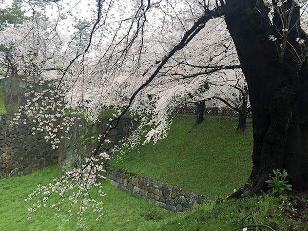 お堀