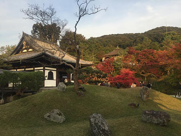 寺