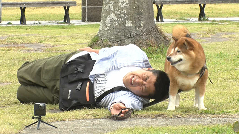 写真