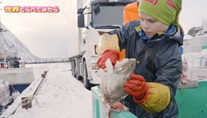 ★実は子どもでも短期間で100万円稼げる!? in ノルウェー