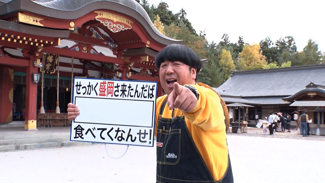 2023年11月26日